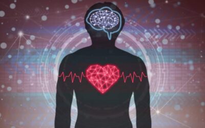 Harmonising Heart and Brain